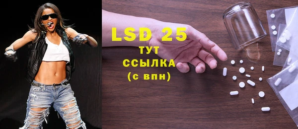 PSILOCYBIN Кулебаки