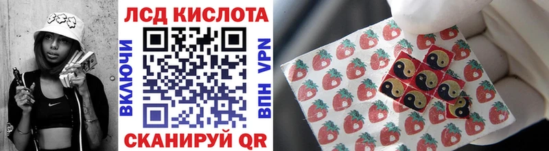 даркнет сайт  Курчатов  Марки NBOMe 1,5мг 