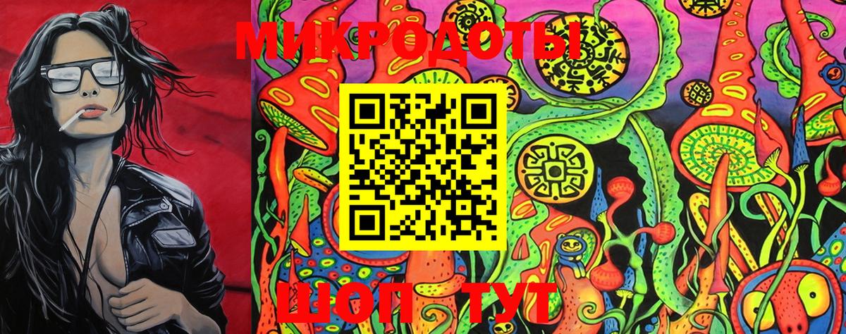 Галлюциногенные грибы Psilocybe Курчатов