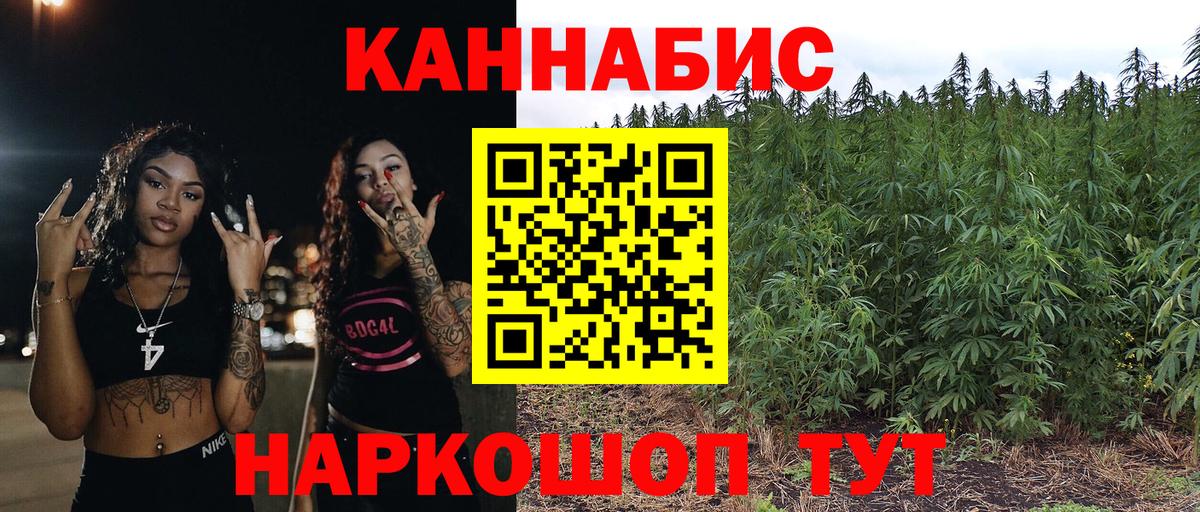 Канабис гибрид Курчатов
